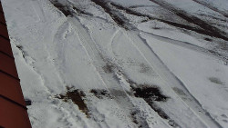 Nástup na běžecké tratě