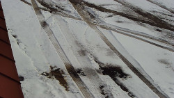 Nástup na běžecké tratě