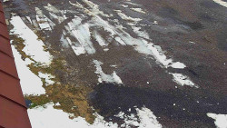 Nástup na běžecké tratě