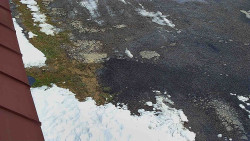 Nástup na běžecké tratě