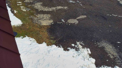 Nástup na běžecké tratě