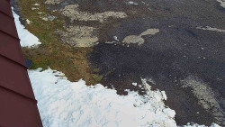 Nástup na běžecké tratě