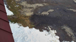 Nástup na běžecké tratě