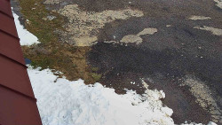 Nástup na běžecké tratě