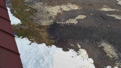 Nástup na běžecké tratě