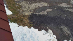 Nástup na běžecké tratě