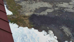 Nástup na běžecké tratě