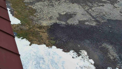 Nástup na běžecké tratě