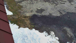 Nástup na běžecké tratě