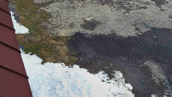 Nástup na běžecké tratě