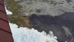 Nástup na běžecké tratě