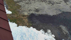 Nástup na běžecké tratě