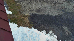 Nástup na běžecké tratě