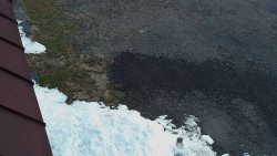 Nástup na běžecké tratě