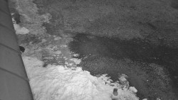 Nástup na běžecké tratě