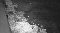 Nástup na běžecké tratě