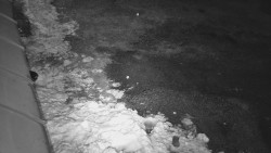 Nástup na běžecké tratě