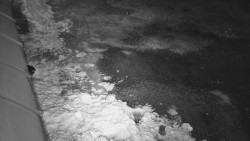 Nástup na běžecké tratě