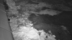 Nástup na běžecké tratě