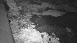 Nástup na běžecké tratě