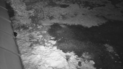 Nástup na běžecké tratě