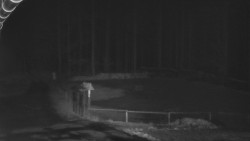 Nástup na běžecké tratě