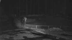 Nástup na běžecké tratě