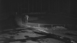 Nástup na běžecké tratě