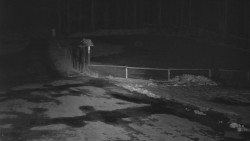 Nástup na běžecké tratě