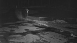 Nástup na běžecké tratě