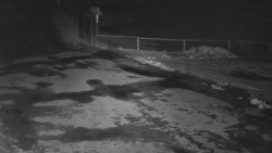 Nástup na běžecké tratě