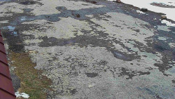 Nástup na běžecké tratě