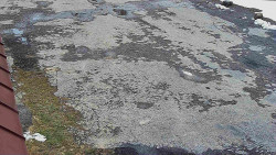 Nástup na běžecké tratě