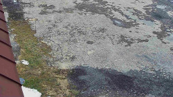 Nástup na běžecké tratě