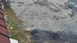 Nástup na běžecké tratě