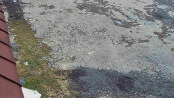 Nástup na běžecké tratě