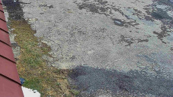 Nástup na běžecké tratě