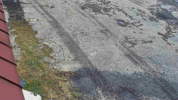 Nástup na běžecké tratě