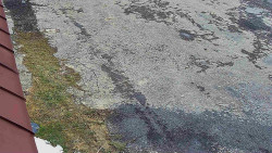 Nástup na běžecké tratě