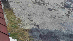 Nástup na běžecké tratě