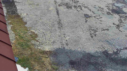 Nástup na běžecké tratě