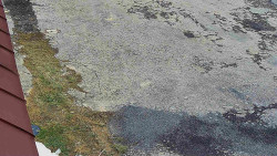 Nástup na běžecké tratě