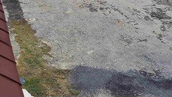 Nástup na běžecké tratě