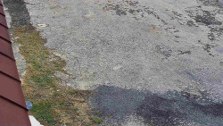 Nástup na běžecké tratě