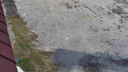 Nástup na běžecké tratě