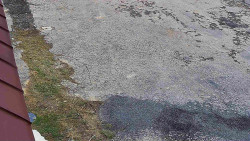 Nástup na běžecké tratě