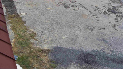 Nástup na běžecké tratě