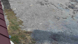 Nástup na běžecké tratě