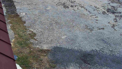 Nástup na běžecké tratě