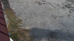 Nástup na běžecké tratě